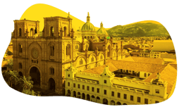 catworkx Cuenca - catworkx Ecuador